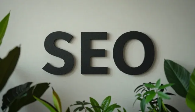 电商运营中SEO优化的适用情况与限制